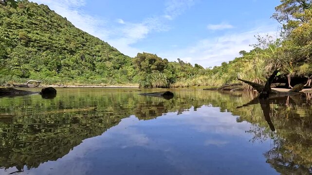 Mirror Tarn Loop : Scenic Mirror-like Mountain Lake surrounded by Lush Native Rainforest in Kahurangi National Park, New Zealand