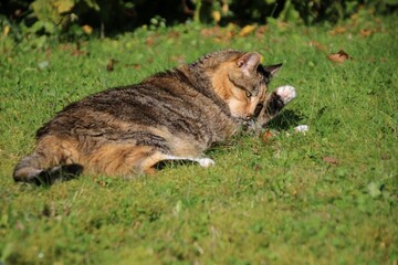 körperpflege  relaxen  Chillen