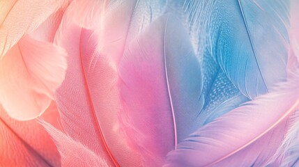 Soft, delicate pastel pink, blue, and white feathers background.