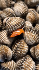 Clams in a restaurant. Seafood.