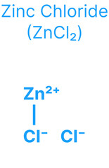 Zinc Chloride (ZnCl₂) Molecular Structure for Chemistry