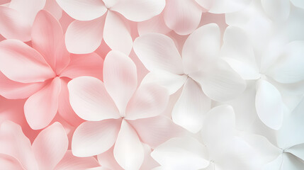 Obraz premium Delicate pink and white flowers create serene and calming background, showcasing beauty of nature in full bloom. soft petals evoke sense of tranquility and elegance