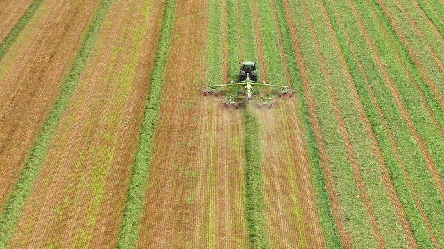 Large hay rake forming windrows in freshly cut field