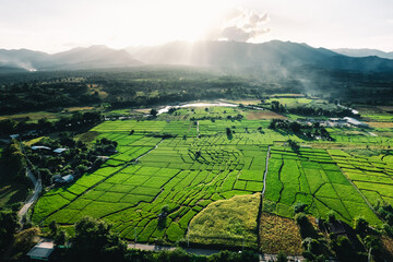 Fototapeta premium Aerial view rice fields in the evening in pai thailand