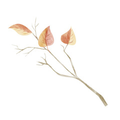Tree Branch Half Bare with Red and Yellow Autumn Leaves. Watercolor Digital Illustration for Printing and Web Use.