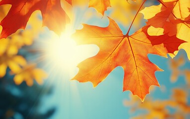 Obraz premium Autumn leaves against a blue sky with a sunburst behind.