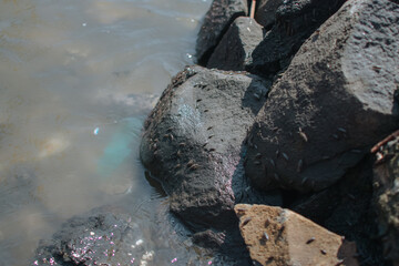 views around the coast in Indonesia