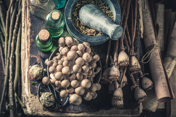 Weird herbal laboratory with ingredients and herbs