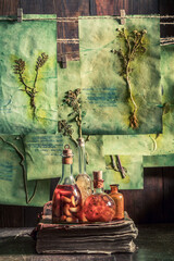 Odd and strange herbal workshop with dried herbs and flowers