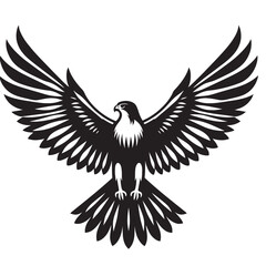 Black and white illustration of a hawk with its wings spread.