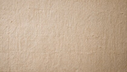 Fototapeta premium cardboard texture background vintage old