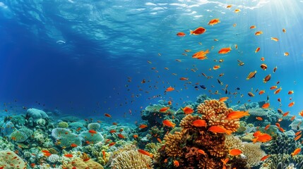 Vibrant Coral Reef with Colorful Fish