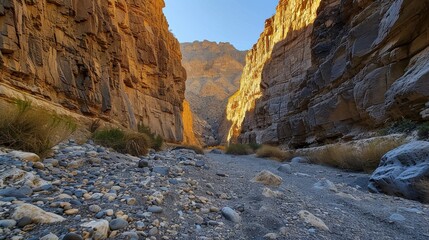 Serene Canyon Landscape in Desert Environment