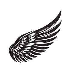 Black and white illustration of a single wing with detailed feathers.