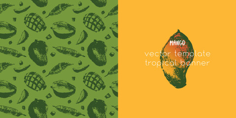Mango label design with a vector pattern of tropical fruits. Drawings of tropical fruit. Color sketches of organic mangoes. Exotic fruit ornament. Banner background with mangos.