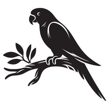 Black and white silhouette of a parrot on a branch.