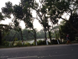 Beautiful landscape green plant natural view of bangladesh