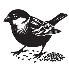 Fototapeta premium Black and white silhouette of a sparrow eating seeds.