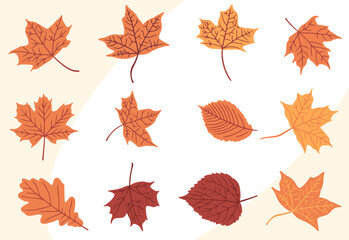 Collection of autumn leaves flat design