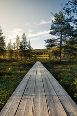 A peaceful wooden path stretches through a lush forest leading to a lake, illuminated by the warm golden hour light in Idre, Dalarna, Sweden. Nature welcomes summer strolls