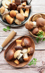 Freshly harvested mushrooms arranged on a wooden table with a knife and garnish ready for culinary preparation