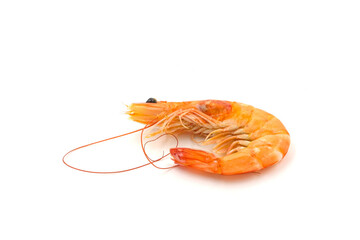 Red cooked prawn or shrimp isolated on white background