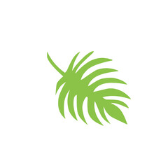 vector green tropical leaf