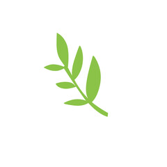vector green tropical leaf