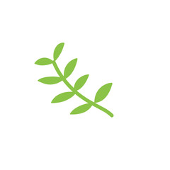 vector green tropical leaf
