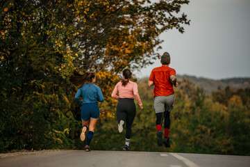 Rear view of a group of athletic young adults are running across the country road