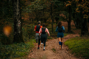 Fototapeta premium The group of sportswomen and a sportsman running in the nature