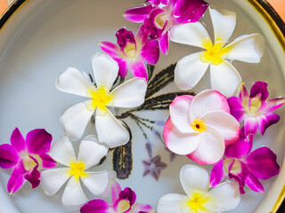 Plumeria Orchid flowers on water Spa Relaxation Exotic nature background