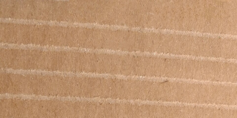 Cardboard Texture. Background. 
