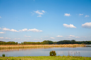 A peaceful and tranquil view showcasing a serene lake surrounded by vibrant lush greenery beneath a...