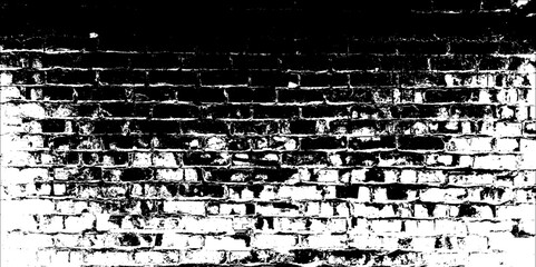 Grunge Black White. Image For Creative Graphic Design. Abstract Modern Texture Template