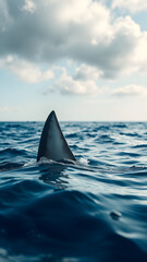 Fototapeta premium Outdoor photo of photorealistic image of the open ocean shot at the waterline with a shark fin breaching the surface at a distance depth of field blur. Generative AI