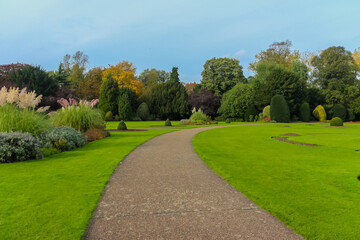 Autumn in a park in the UK.