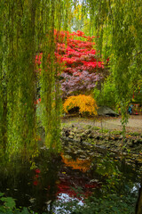 Autumn time in a park in the UK close to a lake.