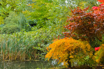 Autumn in a park around a lake in the UK.