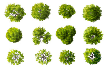 Vector watercolor green tree or forest top view isolated on white background for landscape plan and architecture drawing,plant for environment or garden,botanical element for exterior layout