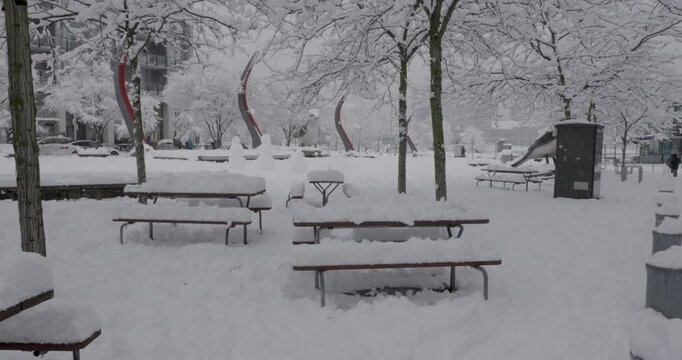 snowfall winter in the park