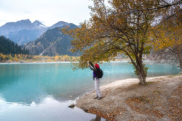 A woman tourist collects fruits, boyarka berries on the mountain lake Issyk in the Almaty mountains in autumn