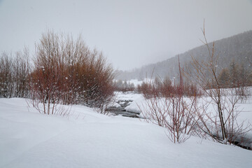 Landscape of nature under the snow; River and bush in winter