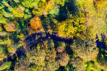 Lasy Rudzkie jesienią z lotu ptaka w Polsce na Śląsku oraz rzeka Ruda
