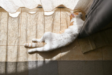 Fototapety na wymiar - Fototapeta24.pl