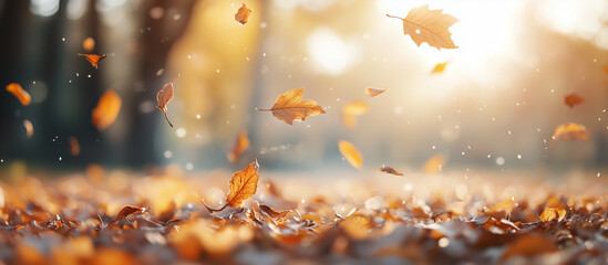 The gentle descent of leaves creates a peaceful and calming atmosphere.