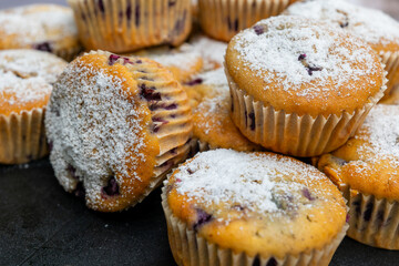 A close-up view of blueberry muffins dusted with powdered sugar, ready to eat