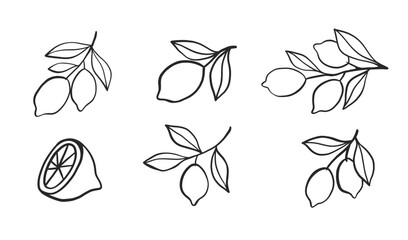 Lemon Branch Collection Sketch Citrus Doodle Set 
