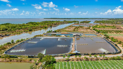 Aerial view of the prawn farm with aerator pump in Thua Duc, Ben Tre, Vietnam. The growing aquaculture business continuously threatening the nearby wetlands.