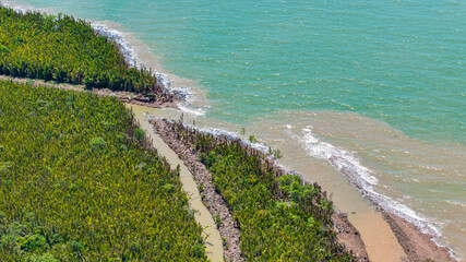 Aerial View of Mangrove Forest at Mekong River estuary , Thua Duc, Ben Tre, Vietnam